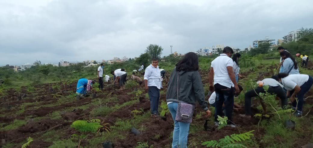 Plantation Work